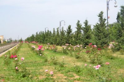 Füzuli rayon İcra Hakimiyyətinin başçısı Alı Alıyev dövlətimizə və prezidentimizə sədaqət nümunəsidir! Füzuli rayon İcra Hakimiyyətinin başçısı Alı Alıyev dövlətimizə və prezidentimizə sədaqət nümunəsidir!