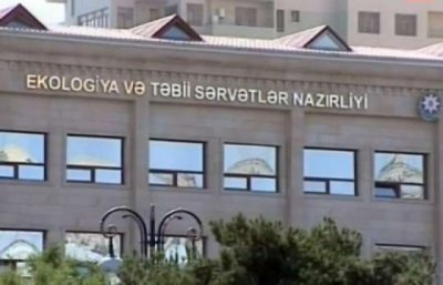 İSMAYILLIDA "MEŞƏ MAFİYASI"NIN ARXASINDA KİMLƏR DAYANIR ... - Şok faktlar/Video
