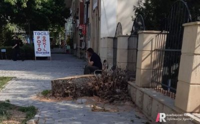 Bərdə rayon icra başçsı Ekalogiyanı məhv edir? - FOTOLAR