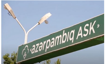 "Azərpambıq ASK" MMC Ucar rayonunda nə baş verir - Böyük narazılıqlar var VİDEO ŞİKAYƏT