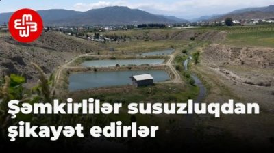 "Kəndə verilən suvarma suyu ilə balıq saxlayırlar..." - ŞƏMKİRDƏ ETİRAZ