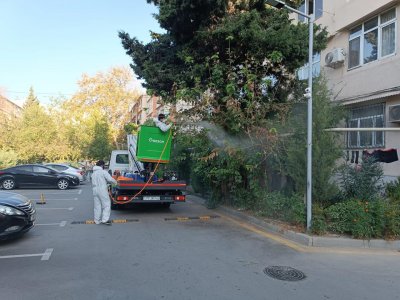 Vətənə sədaqət nümunəsi - Mirdamət Seyidov