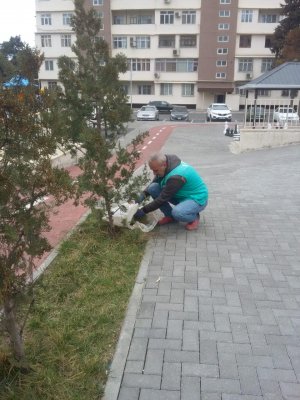 Vətənə sədaqət nümunəsi - Mirdamət Seyidov
