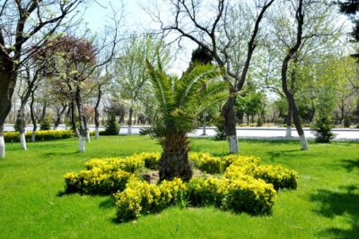 Nərimanov Rayonunun Abadlığına Cavabdeh Rəhbər – Manaf Manafov
