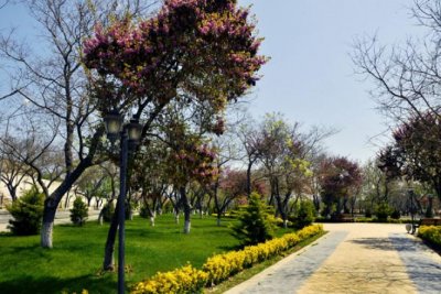 Nərimanov Rayonunun Abadlığına Cavabdeh Rəhbər – Manaf Manafov