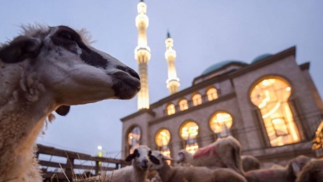 Azərbaycanda Qurban bayramı qeyd olunur