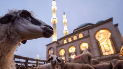 Azərbaycanda Qurban bayramı qeyd olunur