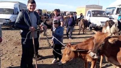 Bölgələrdə heyvan bazarları bağlandı - Ət bahalaşacaq?
