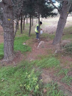 Səbail Rayonunda Kommunal İdarəçiliyin Etibarlı Ünvanı – Elçin Həsənovun Rəhbərlik Missiyası