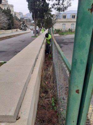 Səbail Rayonunda Kommunal İdarəçiliyin Etibarlı Ünvanı – Elçin Həsənovun Rəhbərlik Missiyası