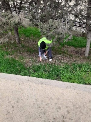 Səbail Rayonunda Kommunal İdarəçiliyin Etibarlı Ünvanı – Elçin Həsənovun Rəhbərlik Missiyası