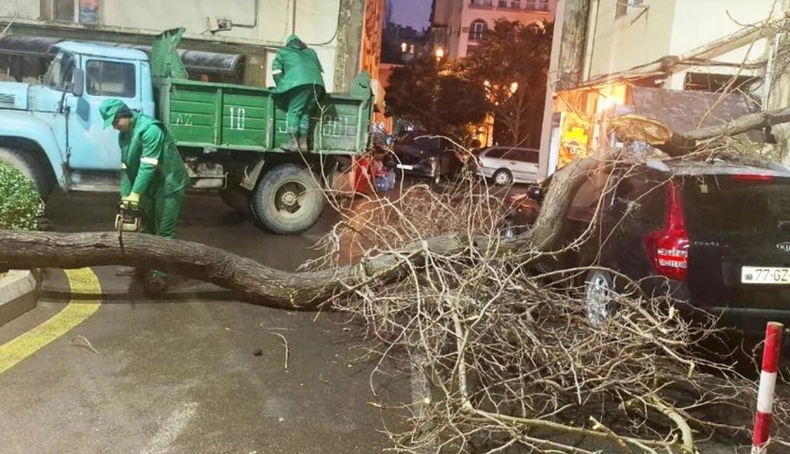 Bakıda davam edən güclü külək hansı fəsadlara yol açıb?