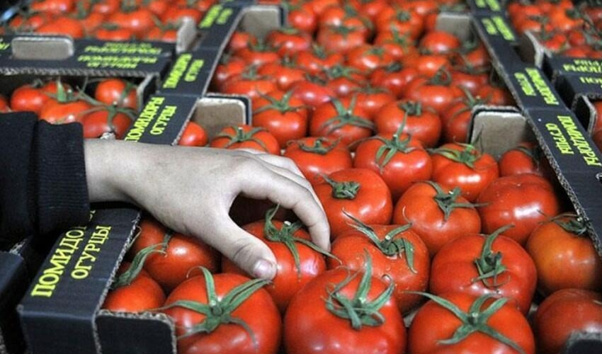 Pomidor indi yaydakından ucuzdur - SƏBƏB