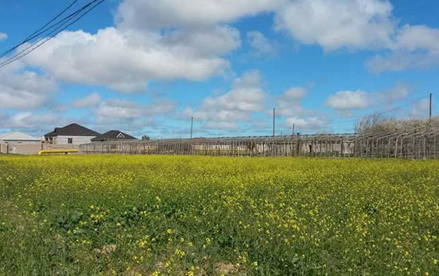 Bələdiyyələr daha torpaq sata bilməyəcək