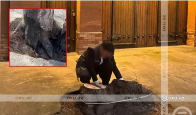 UversitySkateboards25