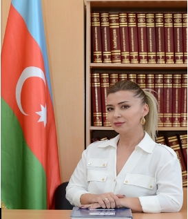 Strateji tərəfdaşlıqda yeni mərhələ: Azərbaycan və Çexiya münasibətlərinin  ...