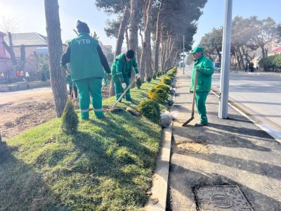 Suraxanı rayonunda abadlıq, təmizlik və dayanıqlı şəhər mühitinin formalaşmasında Mais Məmmədovun idarəçilik fəaliyyəti