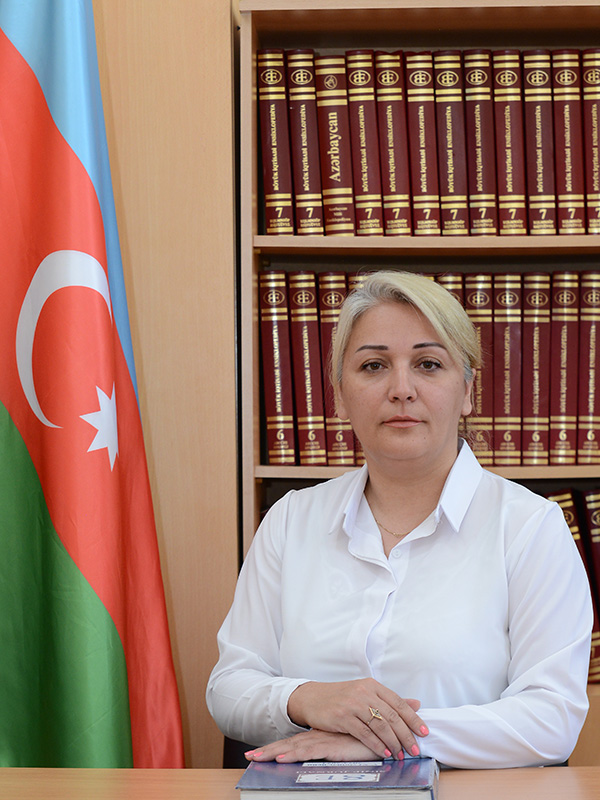 Füzuli rayonu mühüm strateji əhəmiyyətə malikdir